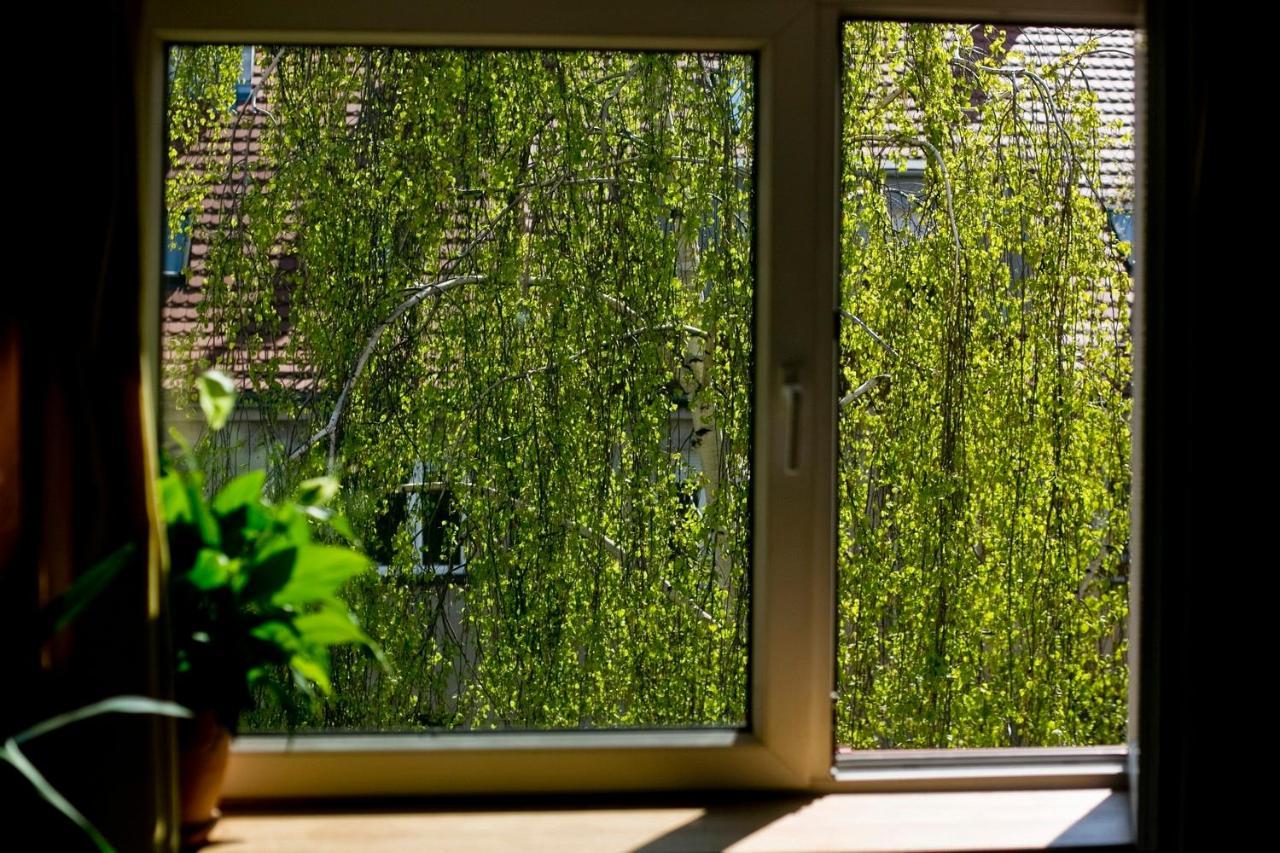 Stylowy, Przestronny 80m2 Na Zielonej Ulicy W Centrum Apartment