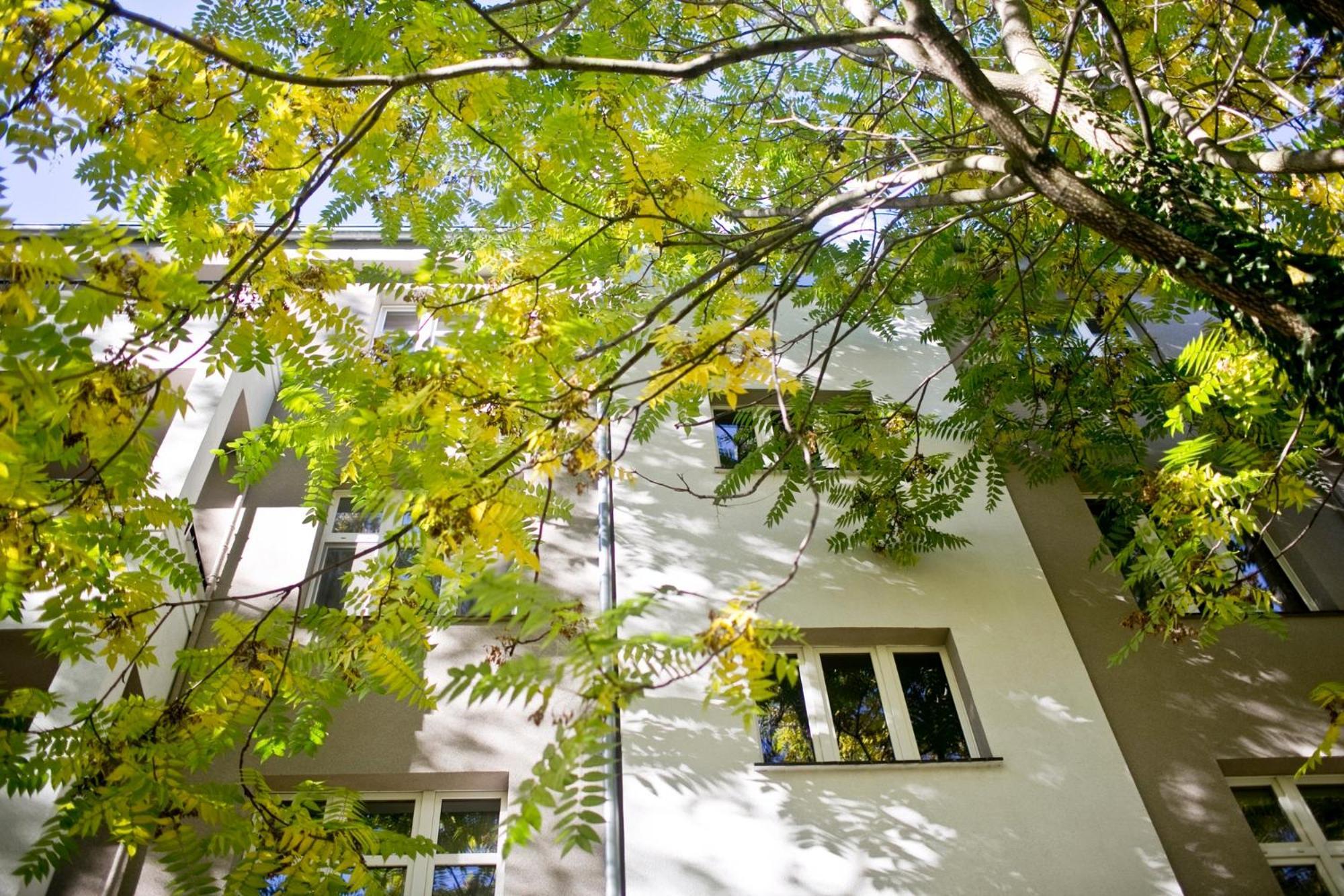 Stylowy, Przestronny 80m2 Na Zielonej Ulicy W Centrum *